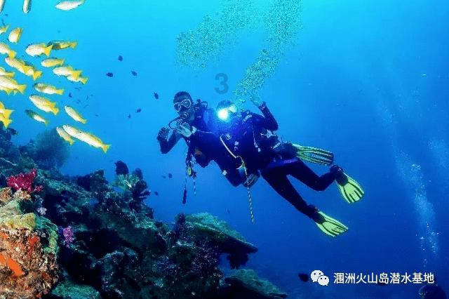 可爱猫咪救援